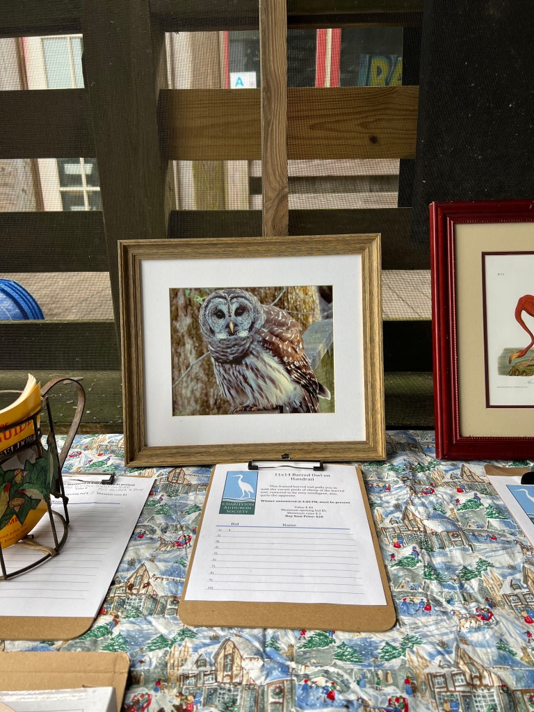 Oyster Roast 12/03/2023